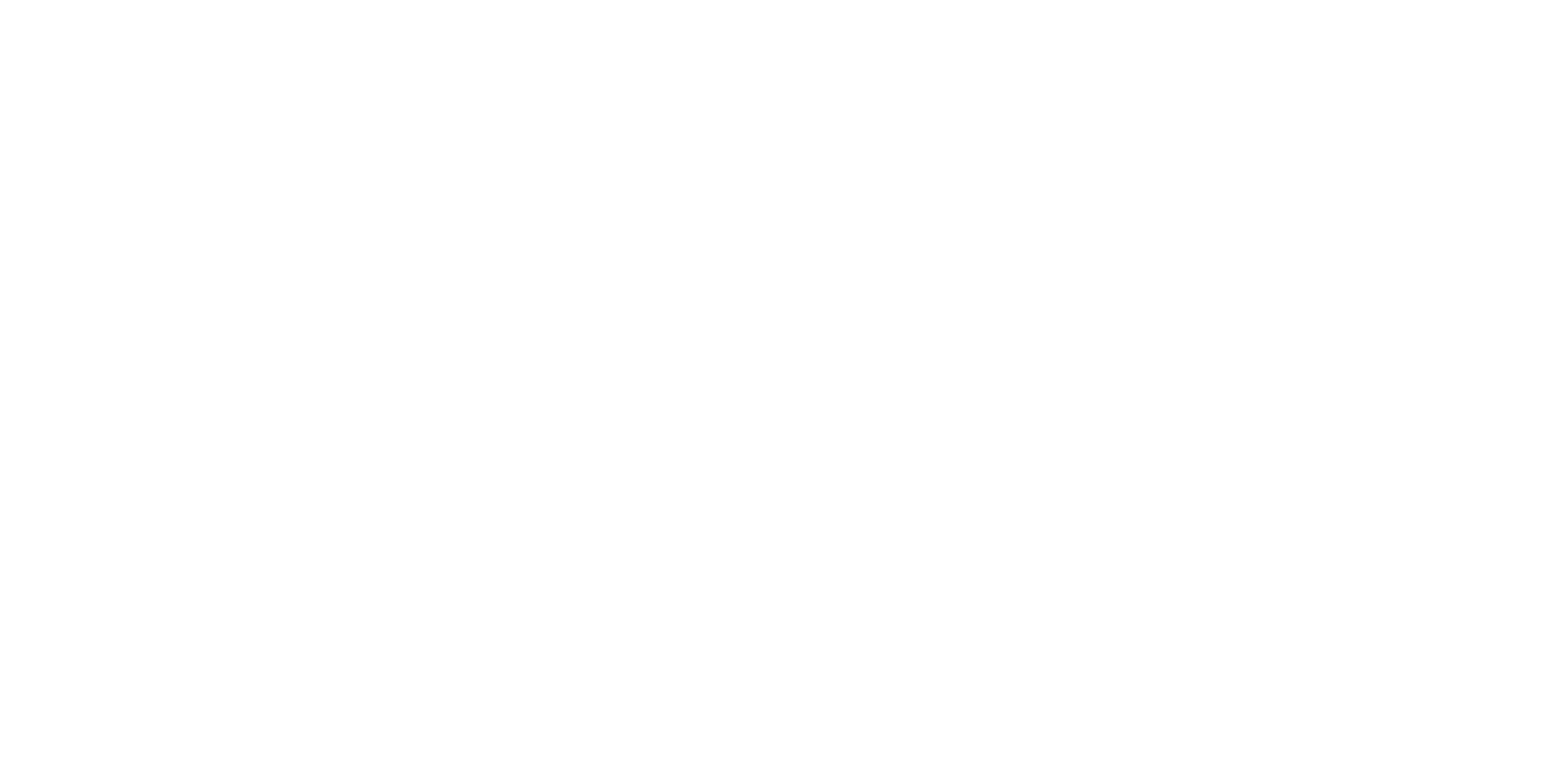 Bellino_Main Logo WHITE